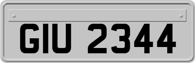 GIU2344