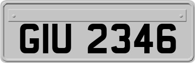 GIU2346