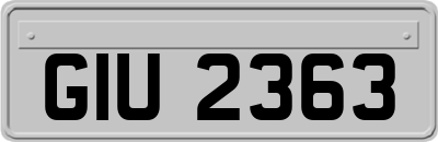 GIU2363