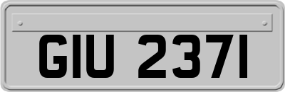 GIU2371