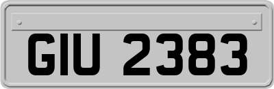 GIU2383