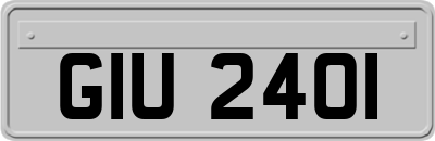 GIU2401