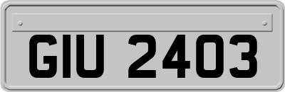 GIU2403