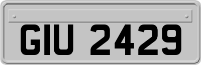 GIU2429