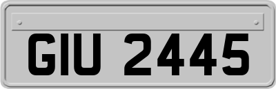 GIU2445