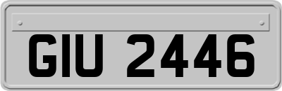 GIU2446