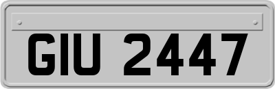 GIU2447