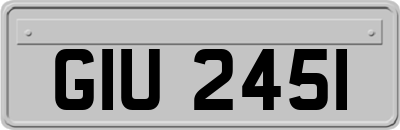 GIU2451