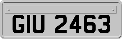 GIU2463
