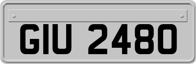GIU2480