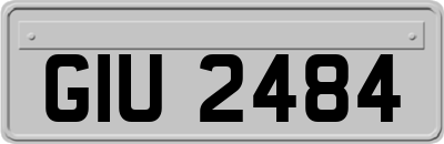 GIU2484