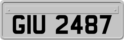 GIU2487