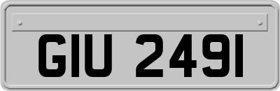 GIU2491