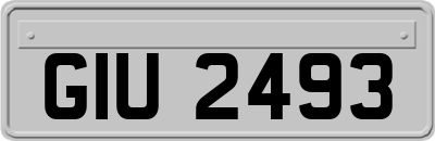 GIU2493