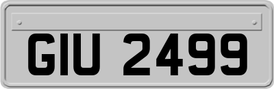 GIU2499