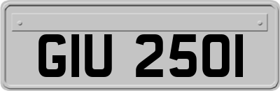 GIU2501