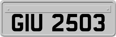 GIU2503