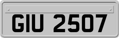 GIU2507