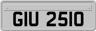 GIU2510