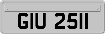 GIU2511