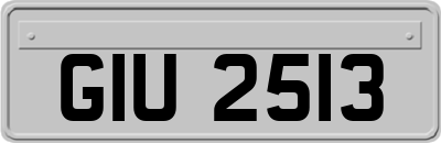 GIU2513