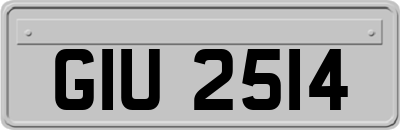 GIU2514