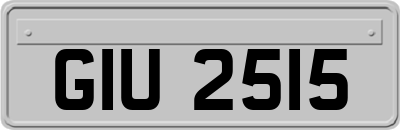 GIU2515