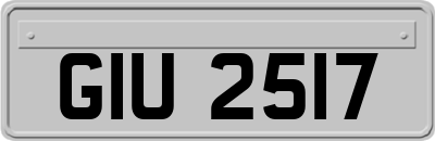 GIU2517