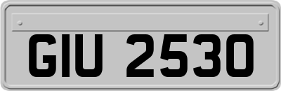 GIU2530