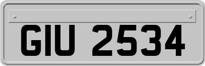 GIU2534