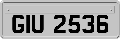 GIU2536