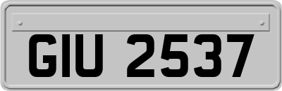 GIU2537