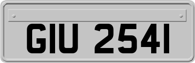 GIU2541