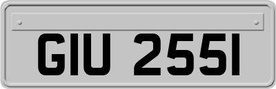 GIU2551