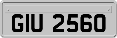 GIU2560