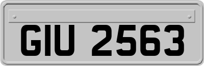 GIU2563