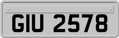 GIU2578