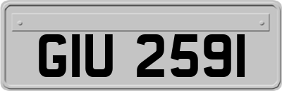 GIU2591