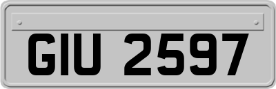 GIU2597