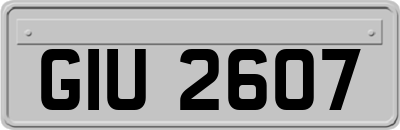 GIU2607