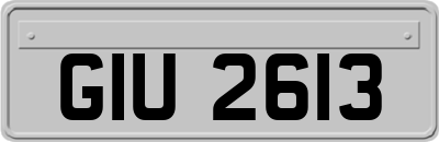 GIU2613