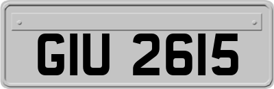 GIU2615