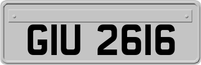 GIU2616