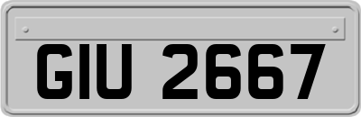 GIU2667