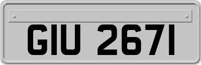 GIU2671