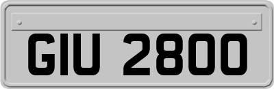 GIU2800