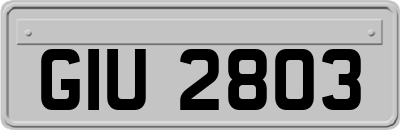 GIU2803