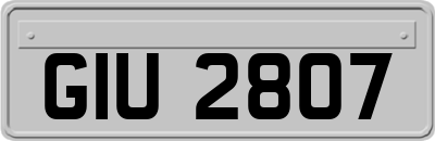 GIU2807