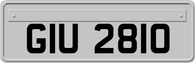 GIU2810