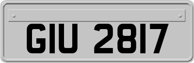 GIU2817